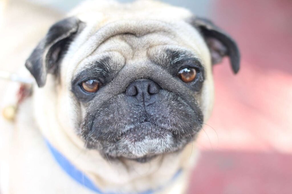 Can You Prevent This from Happening