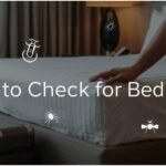 how to check for bed bugs
