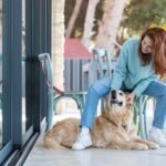 Screen Door With Dog Door Guide for Pet-Friendly Homes