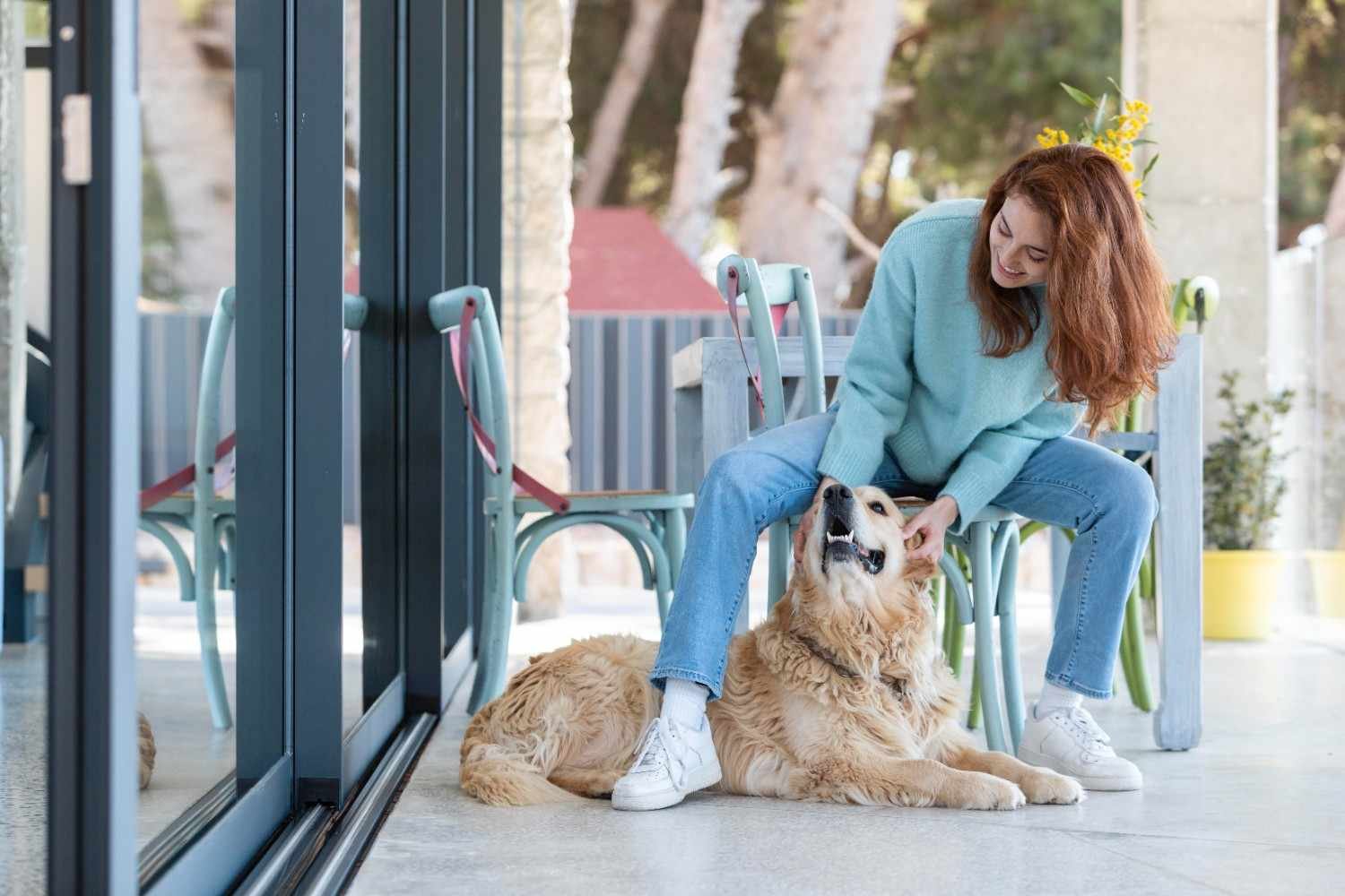 Screen Door With Dog Door: Guide for Pet-Friendly Homes