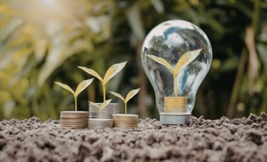 Encourage Wildlife and Sustainability