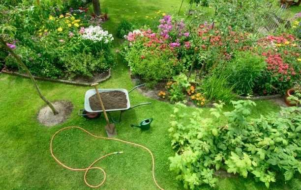 Wildly-Beautiful---Howto-Design-a-Natural-Looking-Garden