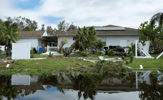 Choose landscaping that withstands coastal conditions