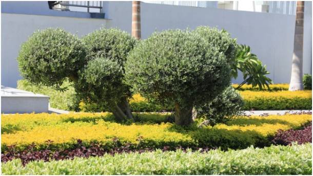 Use Strategic Landscaping