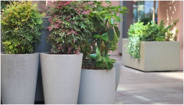 Personalize with Finishing Touches