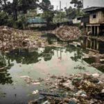 5 Common Stormwater Pollutants That Are Poisoning Local Ecosystems
