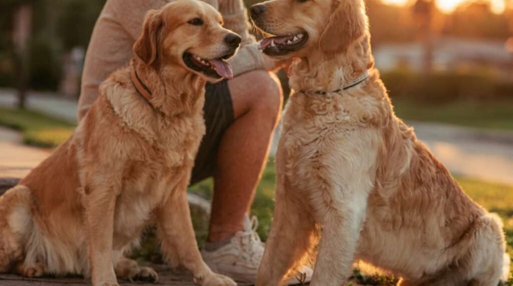 Consistent Routines Support Better Behavior