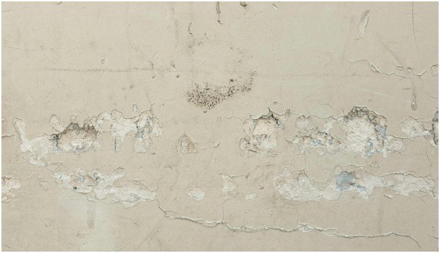 The Impact of Moisture and Humidity