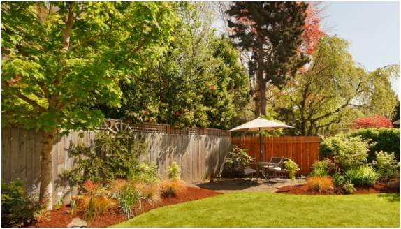 Plant Selection and Landscaping