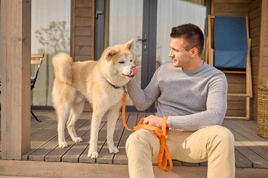 Why Consistency Matters When Teaching Your Dog